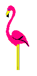 smileys 11433-Pink_flamingo_aerobics.gif