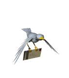 smileys 13339-bird_flying_with_letter_md_wht.gif