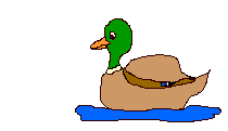 smileys 16961-duck.gif