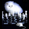 smileys 27515-chess2.jpg