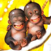 smileys 28461-monkeys_baby.jpg