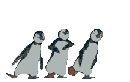smileys 3484-3-pingouins-danse.gif