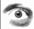 smileys 10360-anatomie873.gif