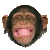 smileys 12089-animal411.gif