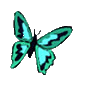 smileys 12176-papillon-gif-009.gif