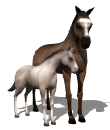 smileys 12800-chevaux-gif-026.gif