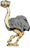 smileys 12924-autruche001.gif