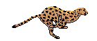 smileys 13805-faune-gif-007.gif
