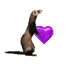 smileys 13884-furet013.gif