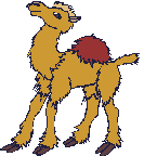 smileys 13947-cham011.gif