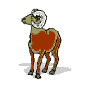 smileys 14292-chevre006.gif