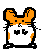 smileys 14935-anim_rongeur34.gif