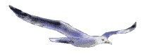 smileys 15786-mouette001.gif