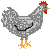 smileys 15983-poules014.gif