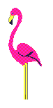 smileys 16002-Pink_flamingo.gif