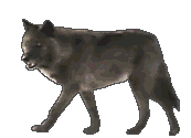 smileys 16104-animaux_loup019.gif