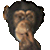 smileys 17182-animal416.gif