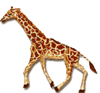 smileys 17374-giraffe001.gif