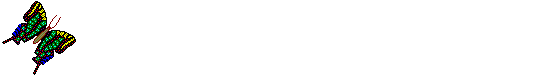 smileys 17800-flying.gif