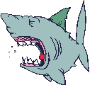 smileys 17816-requins012.gif