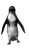 smileys 18207-pingouin011.gif