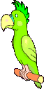 smileys 18306-perroquet-gif-003.gif