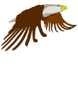 smileys 18561-Eagle_flies_2.gif