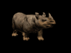 smileys 18962-rhinoceros004.gif