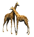 smileys 18964-giraffe025.gif