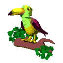smileys 19313-toucan001.gif