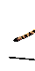 smileys 19802-felin003.gif