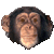 smileys 19867-animal414.gif