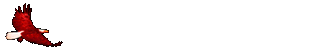 smileys 20054-Eagle_flies.gif