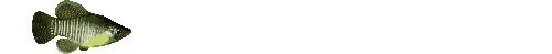 smileys 20156-fish_2.gif