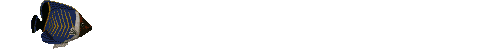 smileys 20343-fish_swims_2.gif