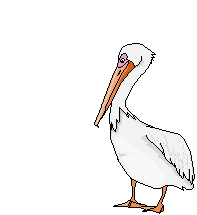 smileys 20540-pelican012.gif