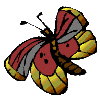 smileys 20565-papillon-gif-010.gif