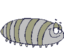 smileys 21003-Caterpillar.gif