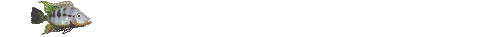 smileys 21053-poissons013.gif