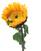 smileys 21190-Bee_around_flower.gif