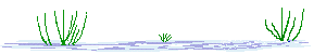 smileys 21668-canards001.gif