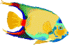 smileys 21693-poissons020.gif