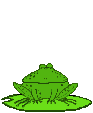 smileys 21888-grenouille008.gif