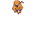 smileys 22060-Very_angry.gif
