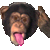 smileys 22297-animal410.gif