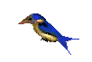 smileys 22511-birdblue2.gif