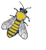 smileys 22533-big_bee.gif