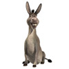 smileys 24661-donkey5.jpg