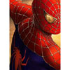 smileys 25126-spiderman.jpg