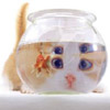 smileys 25342-cat_and_fish.jpg